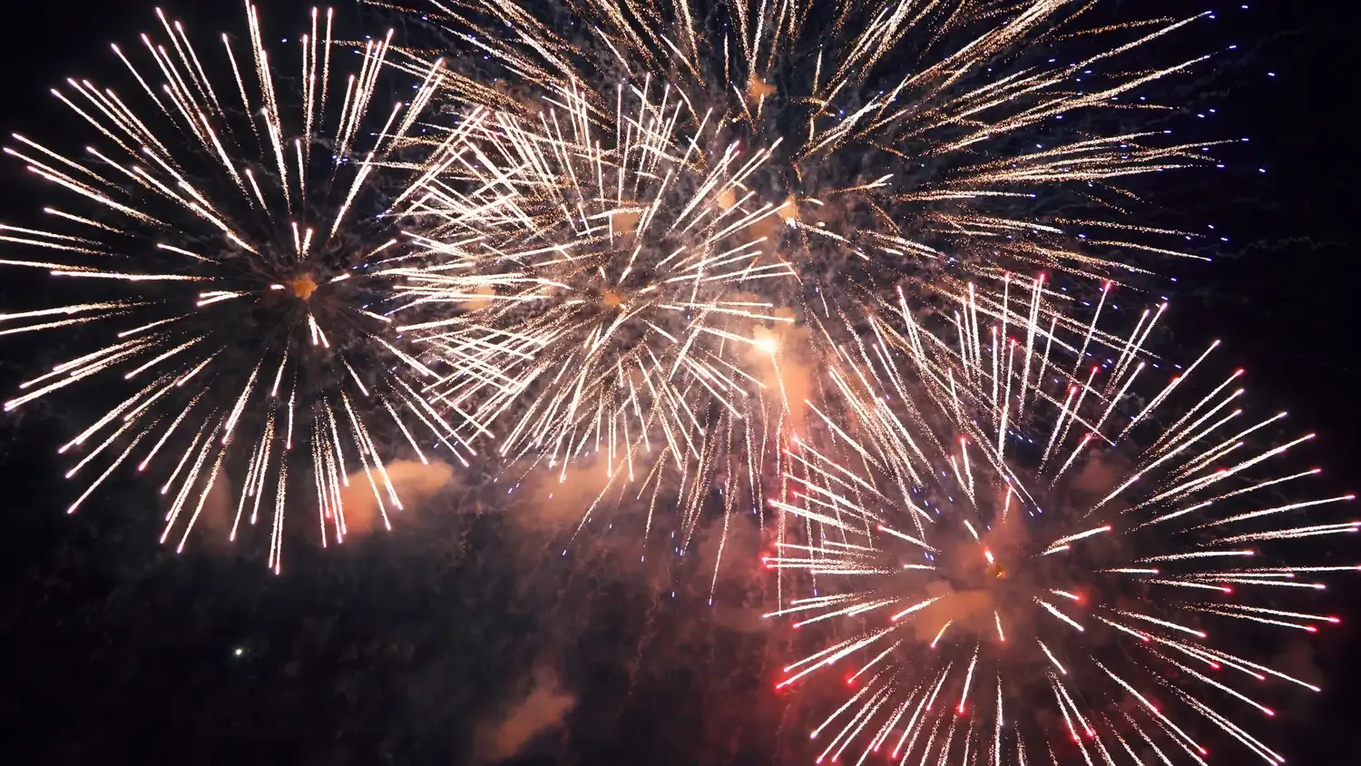 Party like its's 1999: Buy, Hold of Sell, chippers gaan ballistic